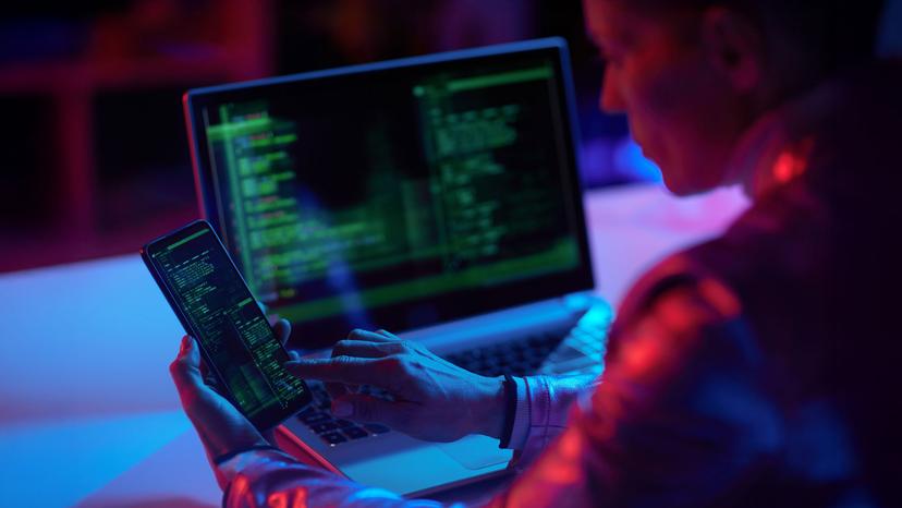 Strengthening Public Sector Security Against the Threat from Within